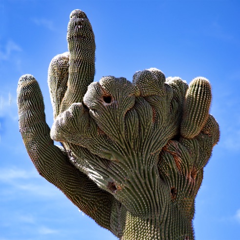 Tucson, AZ.
